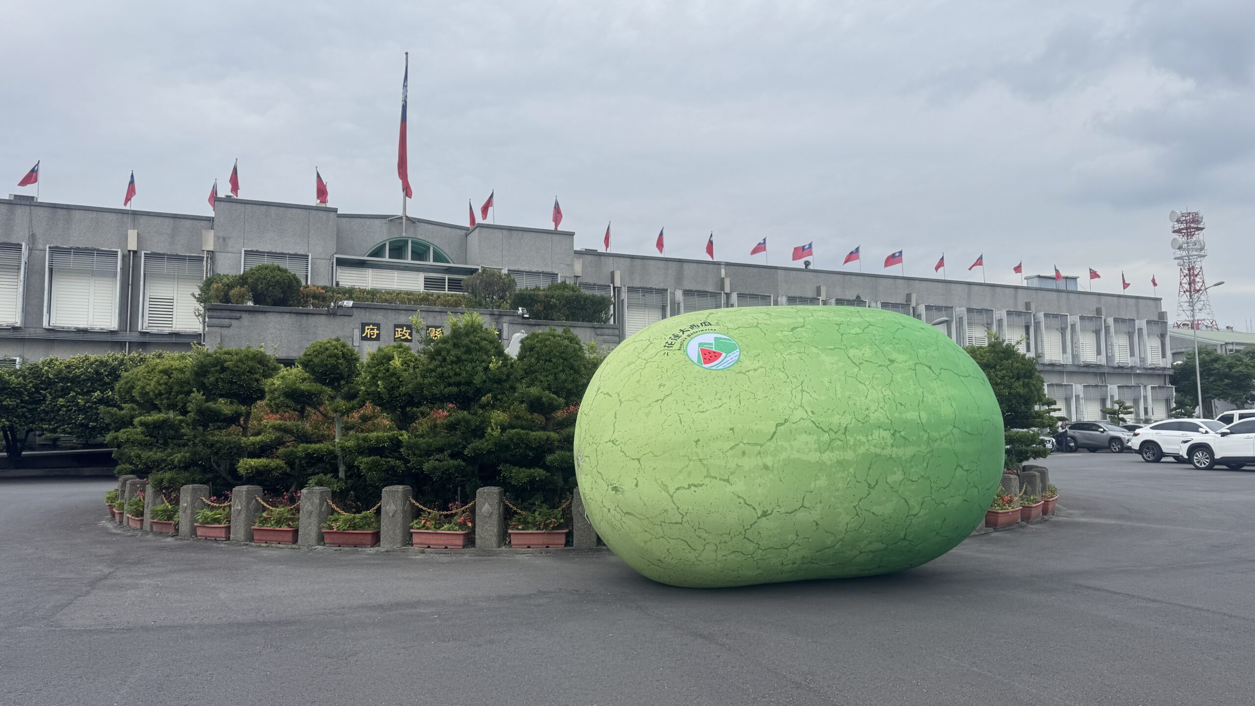 李多慧、曾聖安熱血應援花蓮大西瓜節    買西瓜抽輕航機體驗